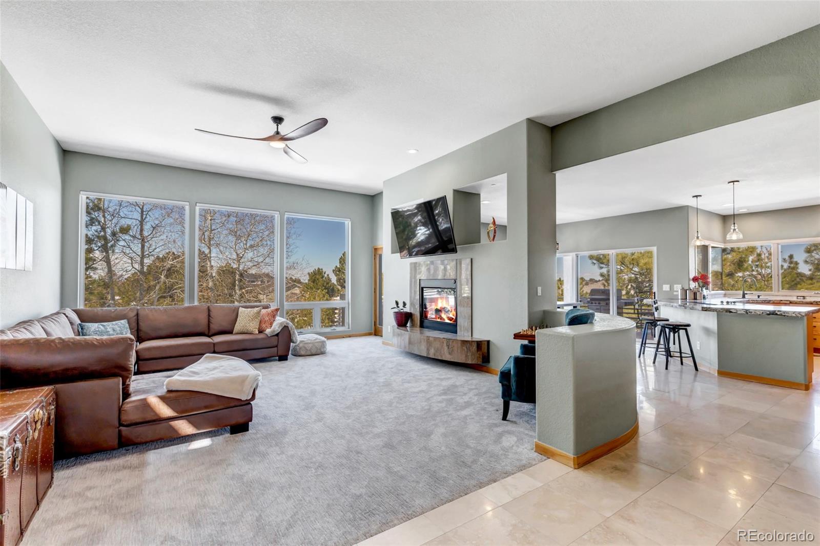 MLS Image #10 for 5651  silver bluff court,parker, Colorado
