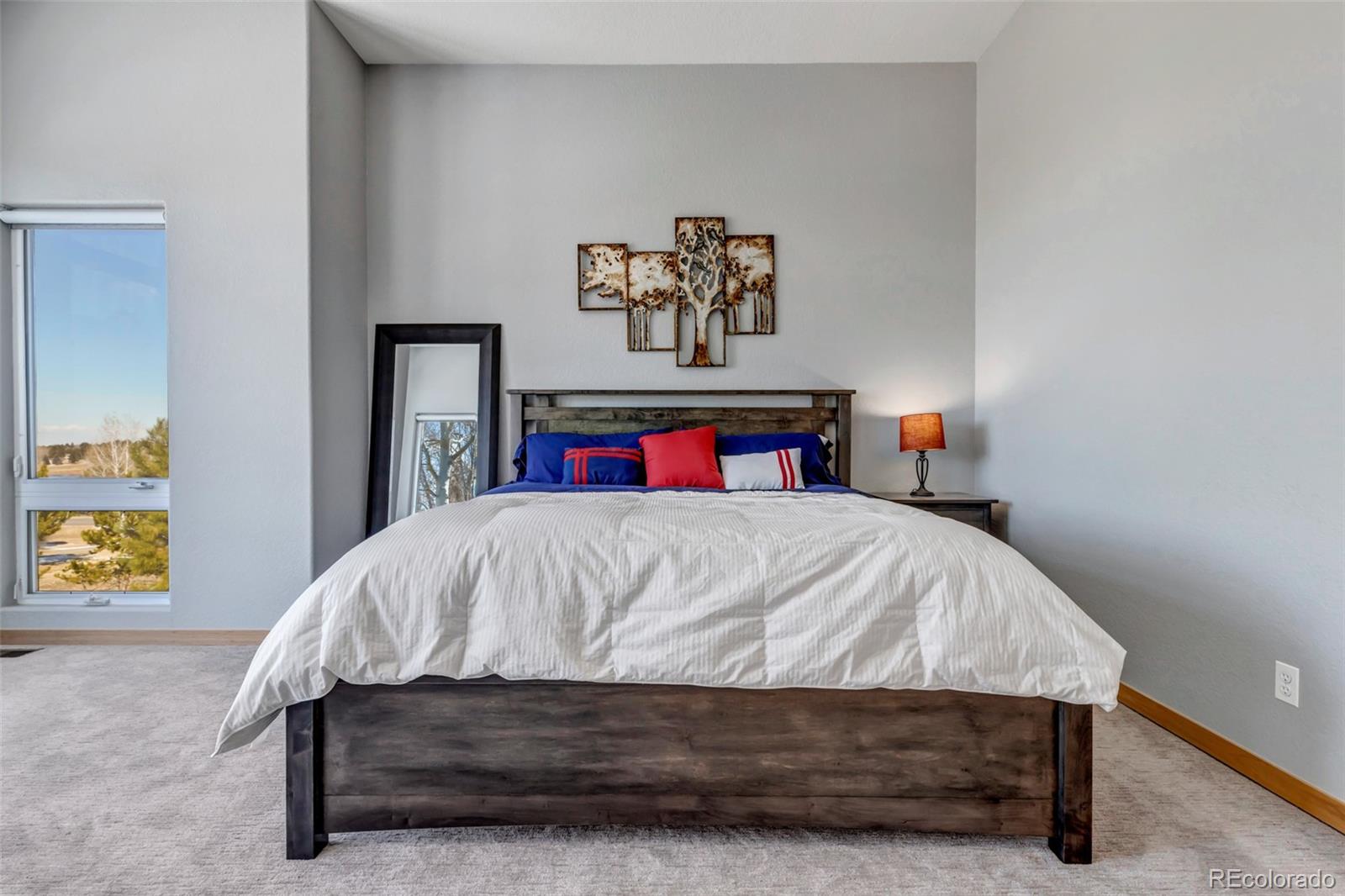 MLS Image #12 for 5651  silver bluff court,parker, Colorado