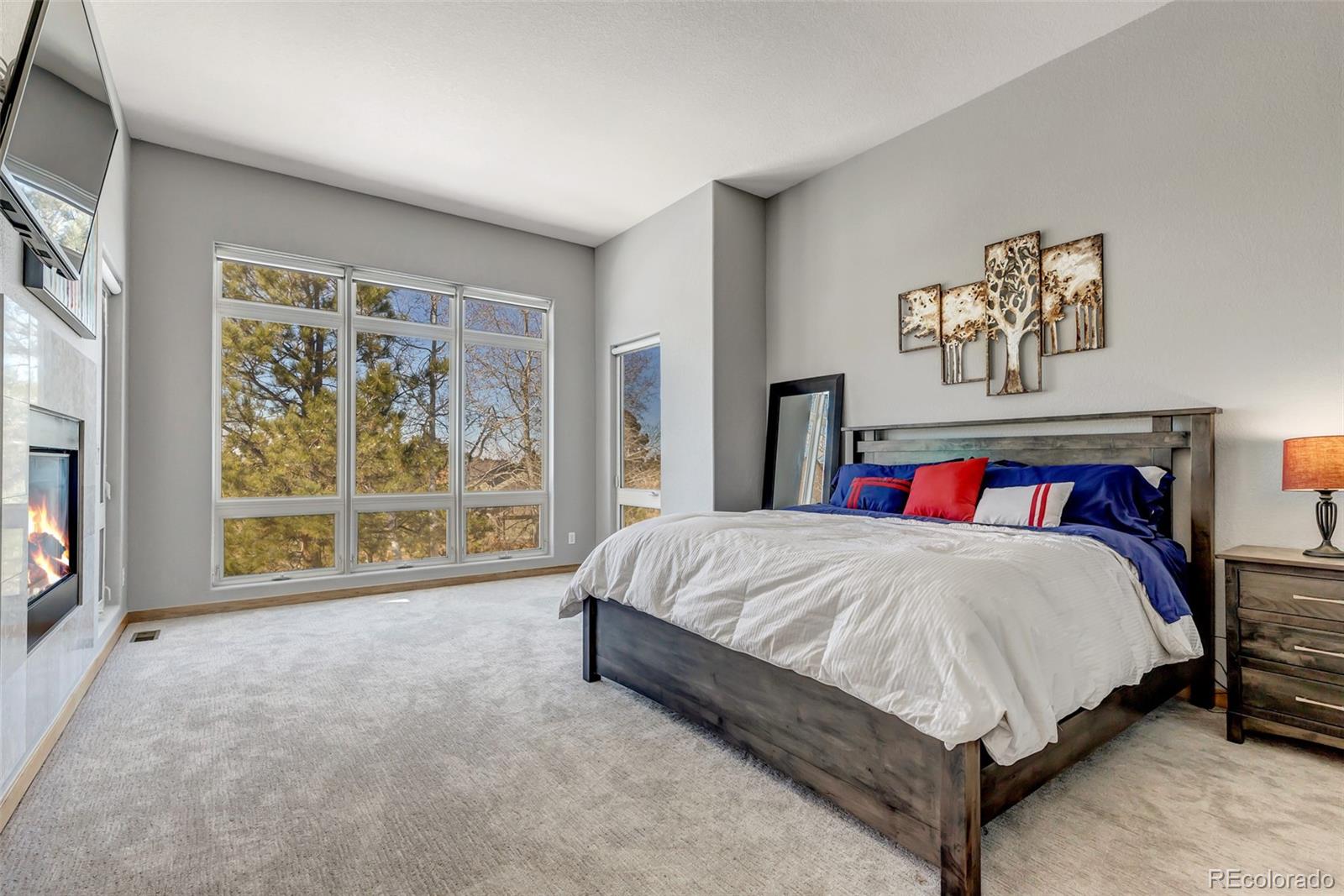 MLS Image #13 for 5651  silver bluff court,parker, Colorado