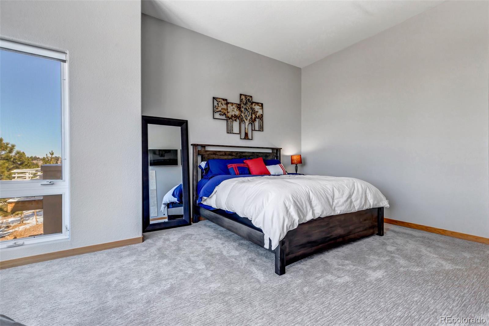 MLS Image #14 for 5651  silver bluff court,parker, Colorado