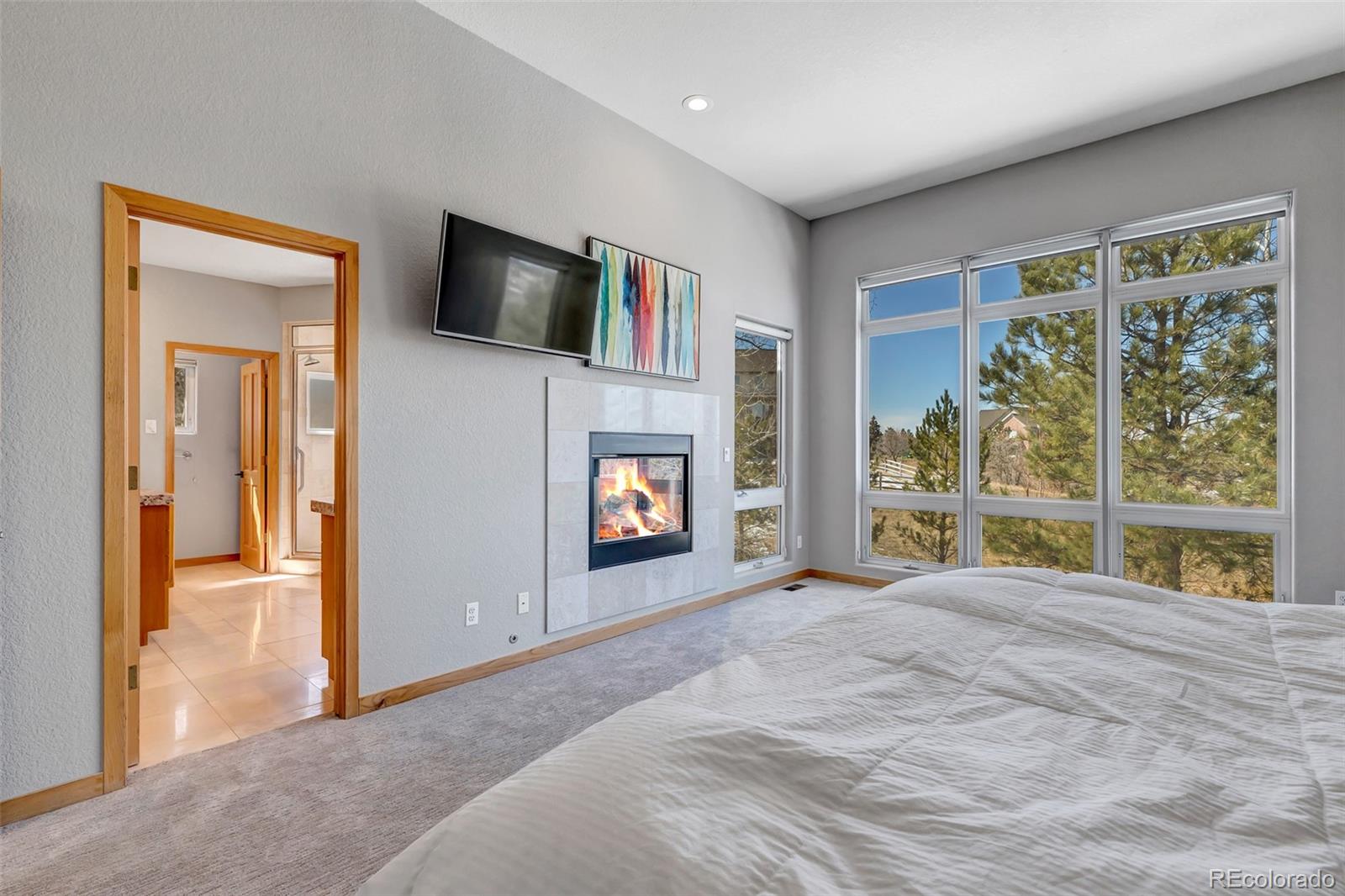 MLS Image #16 for 5651  silver bluff court,parker, Colorado