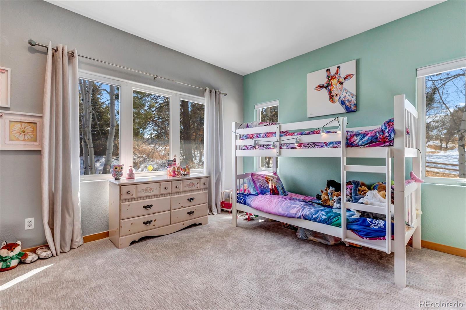 MLS Image #25 for 5651  silver bluff court,parker, Colorado