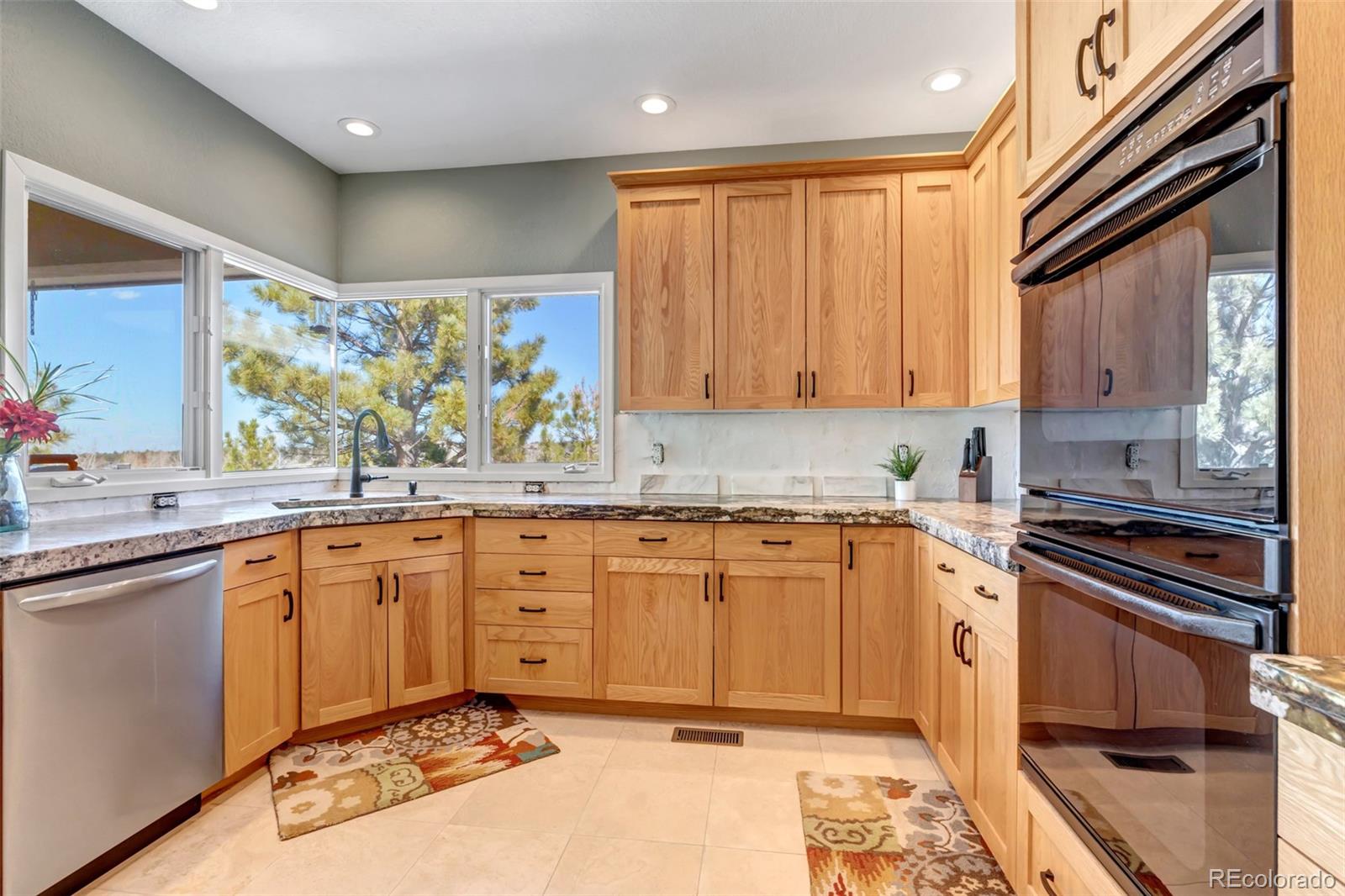 MLS Image #3 for 5651  silver bluff court,parker, Colorado