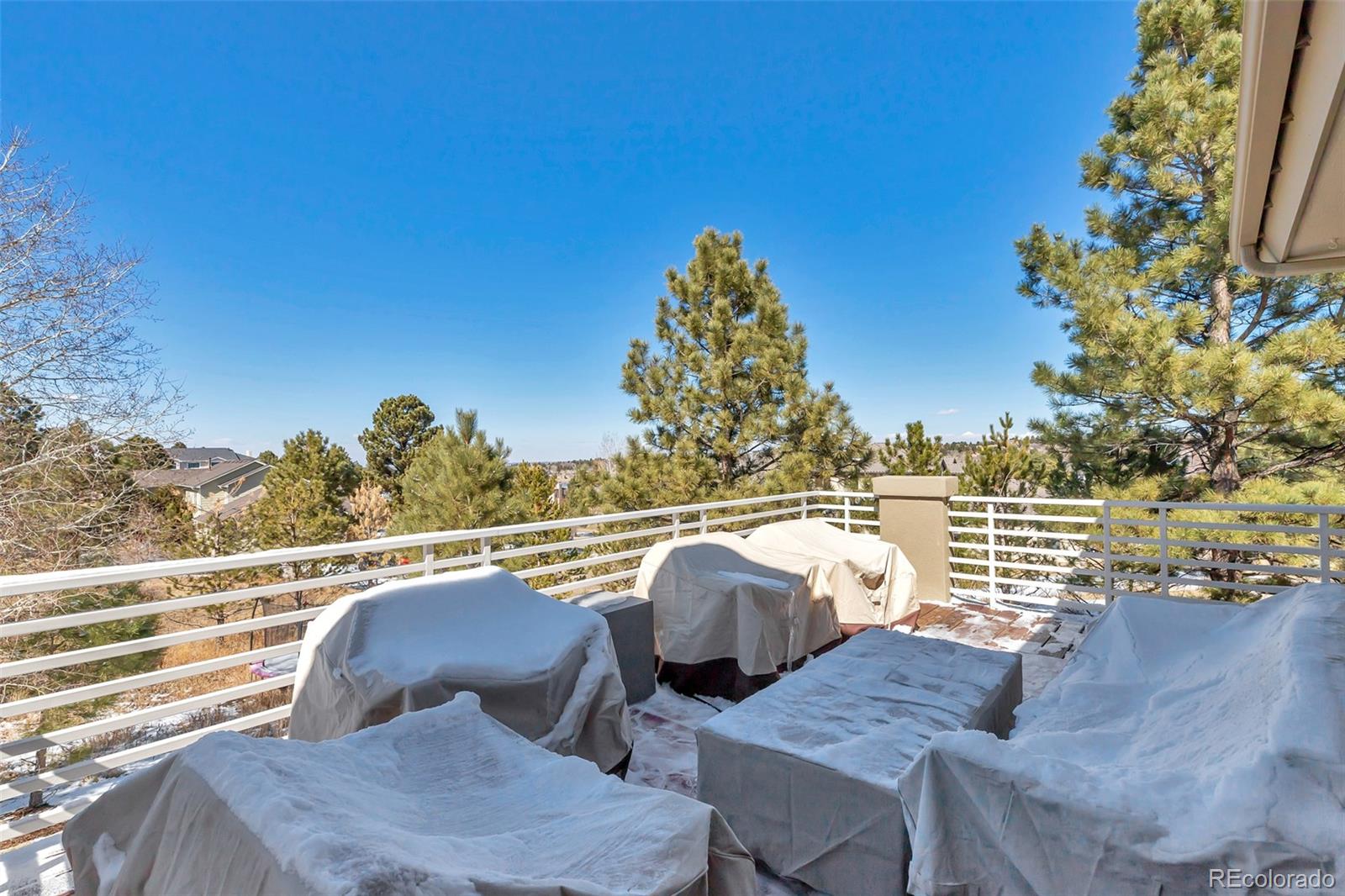 MLS Image #32 for 5651  silver bluff court,parker, Colorado