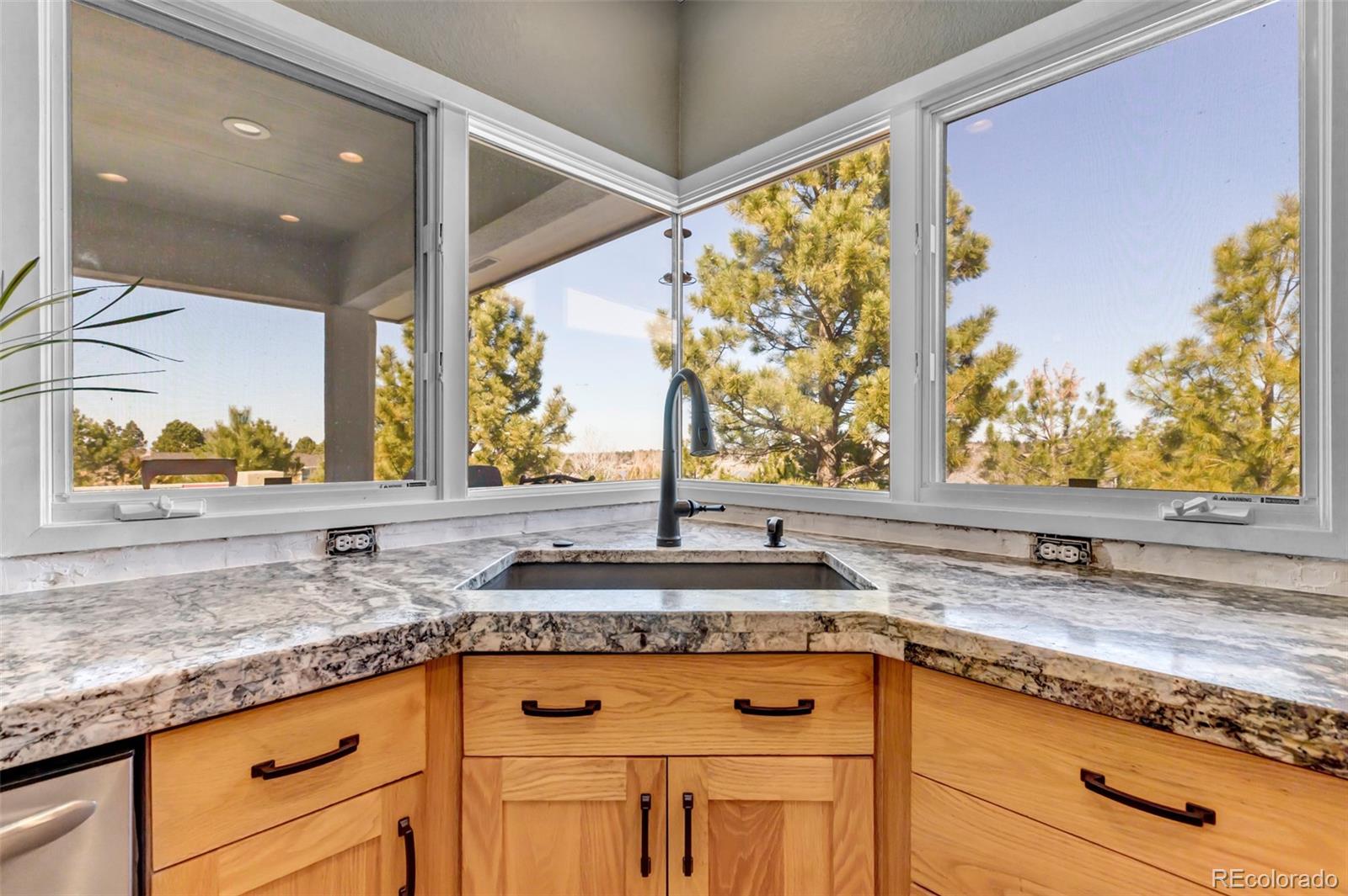 MLS Image #4 for 5651  silver bluff court,parker, Colorado