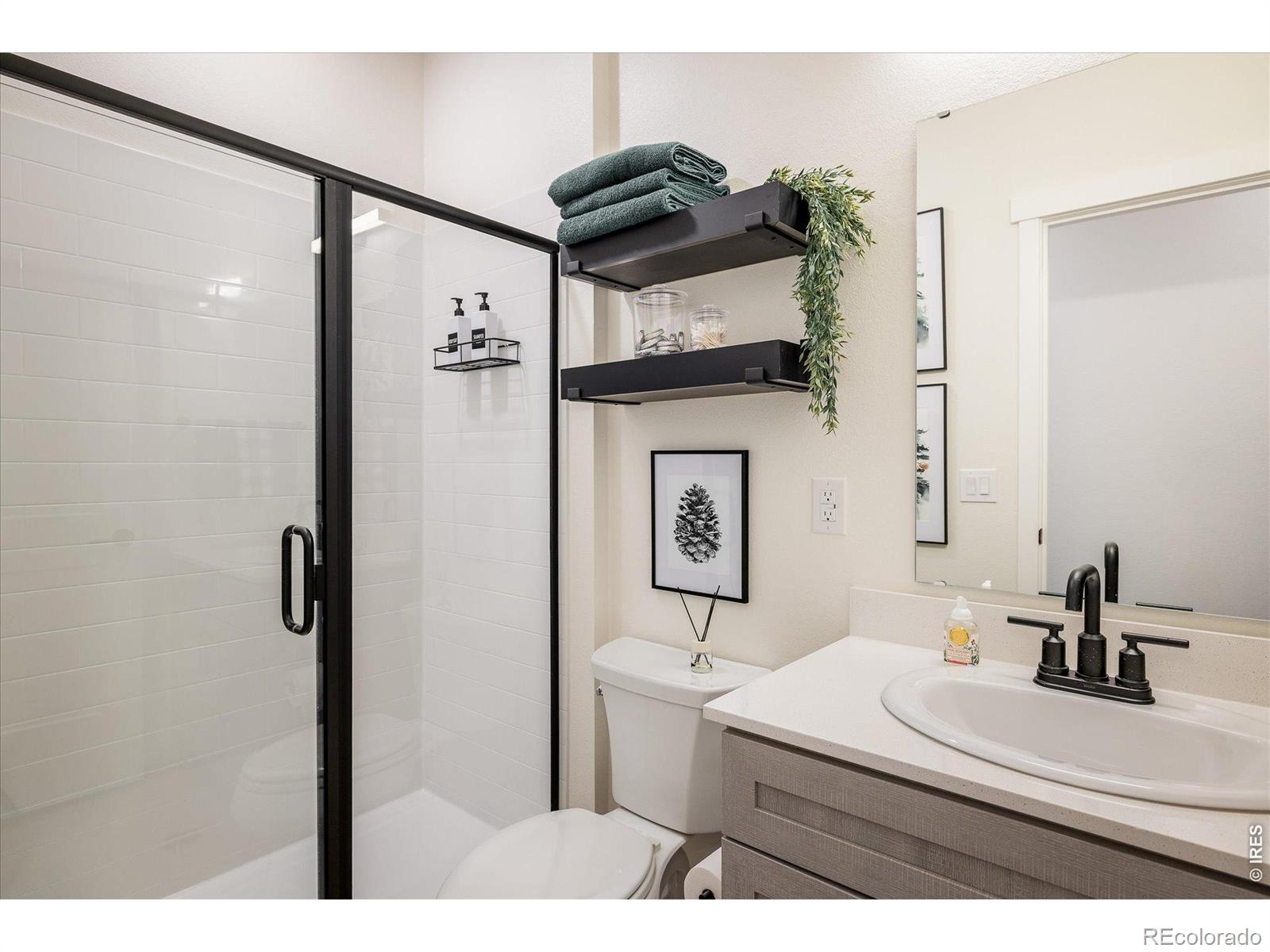 MLS Image #13 for 2121  hummingbird way 201,georgetown, Colorado