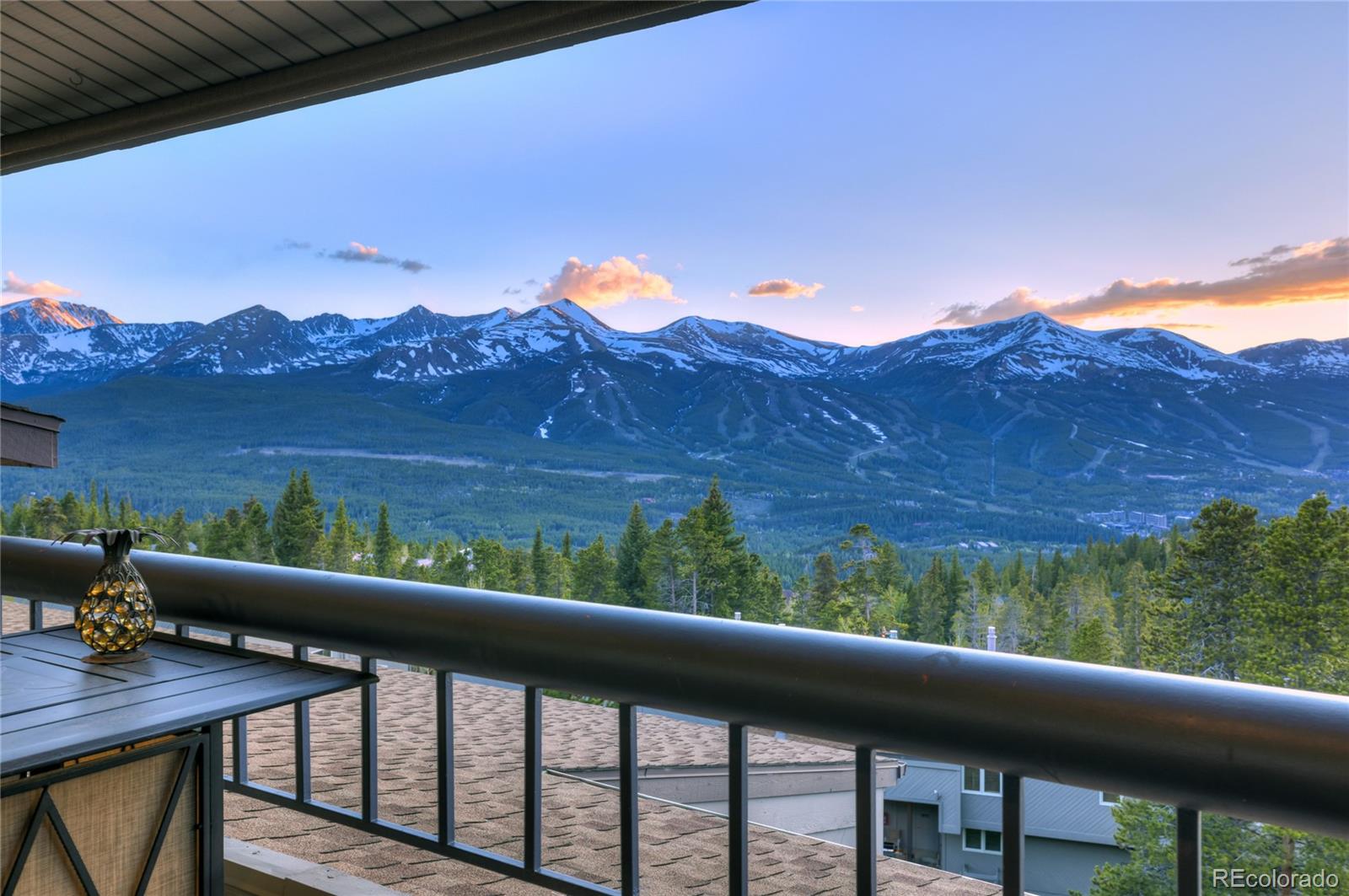 MLS Image #1 for 187 n fuller placer road f,breckenridge, Colorado
