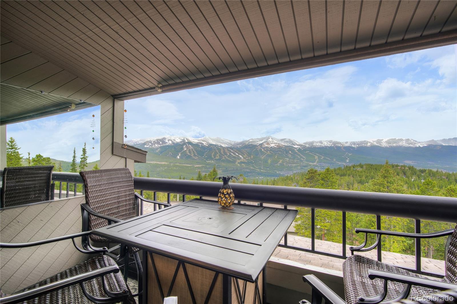 MLS Image #28 for 187 n fuller placer road f,breckenridge, Colorado