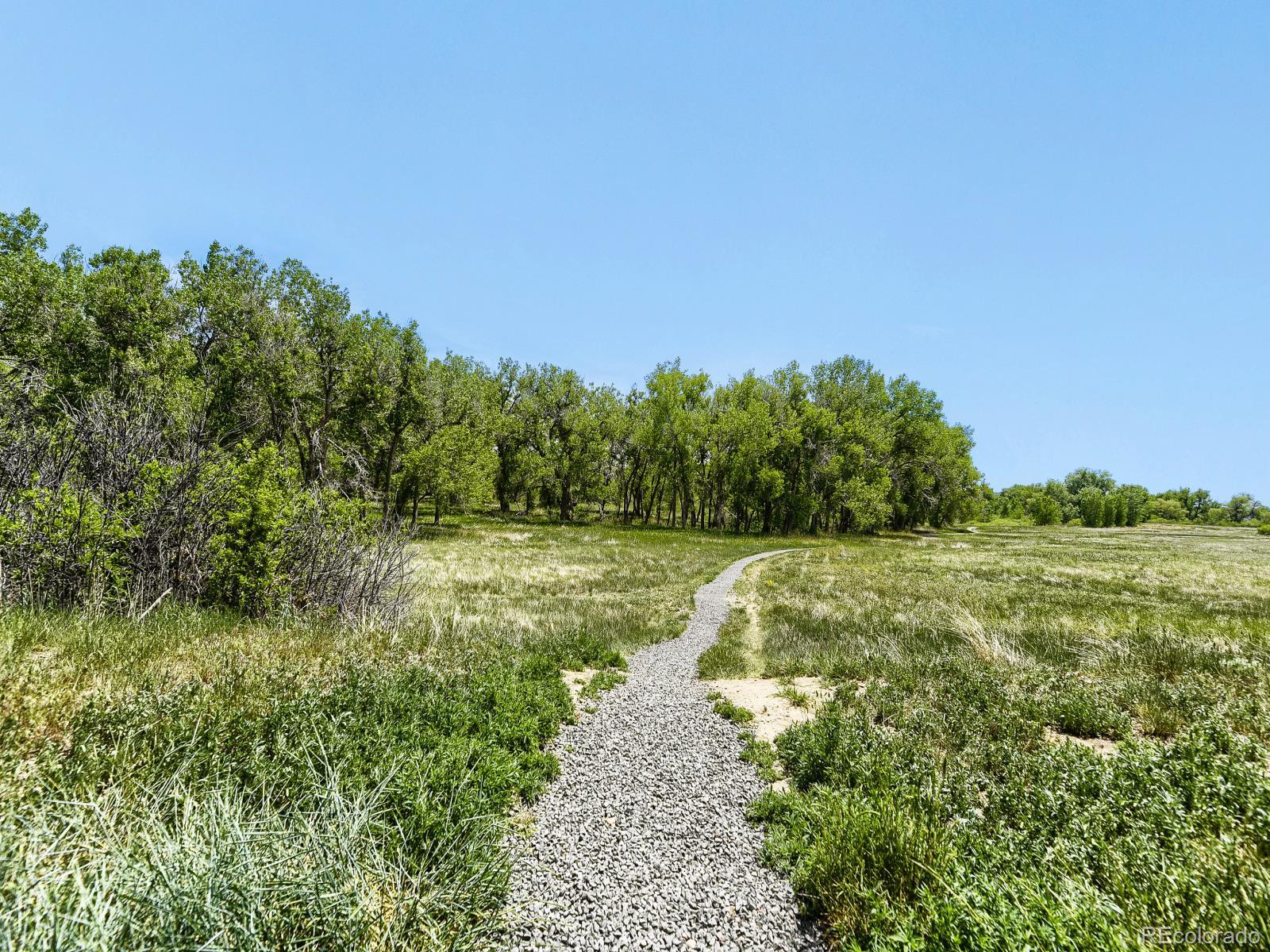 MLS Image #26 for 7874 s kittredge circle,englewood, Colorado