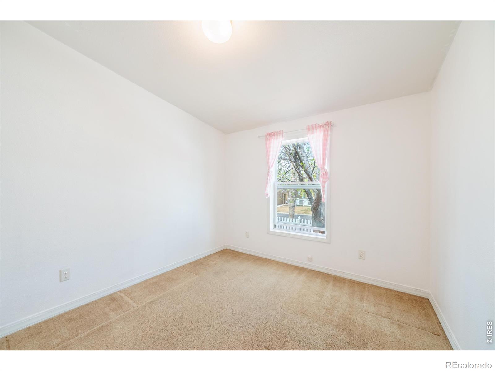 MLS Image #20 for 7805  sunflower green,frederick, Colorado
