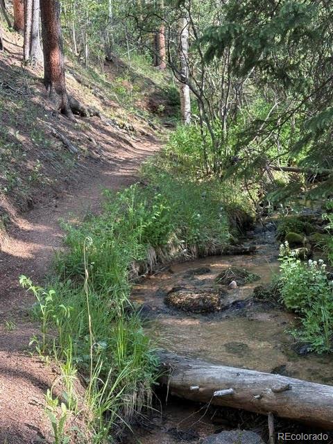 MLS Image #46 for 43  crystal rock road,bailey, Colorado