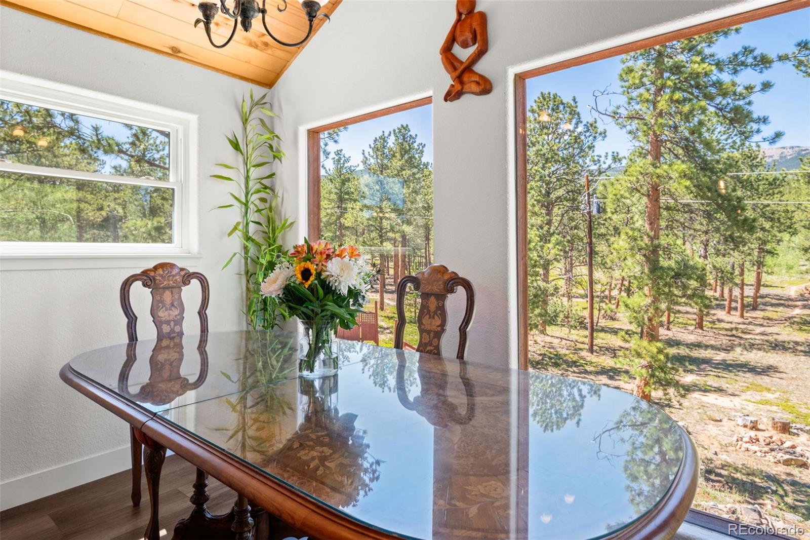 MLS Image #9 for 43  crystal rock road,bailey, Colorado