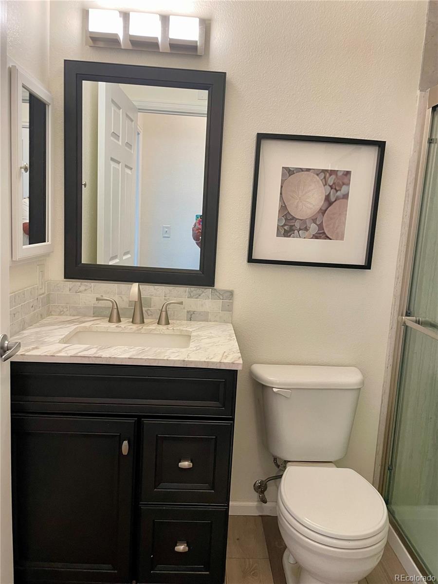 MLS Image #13 for 474  black feather loop,castle rock, Colorado