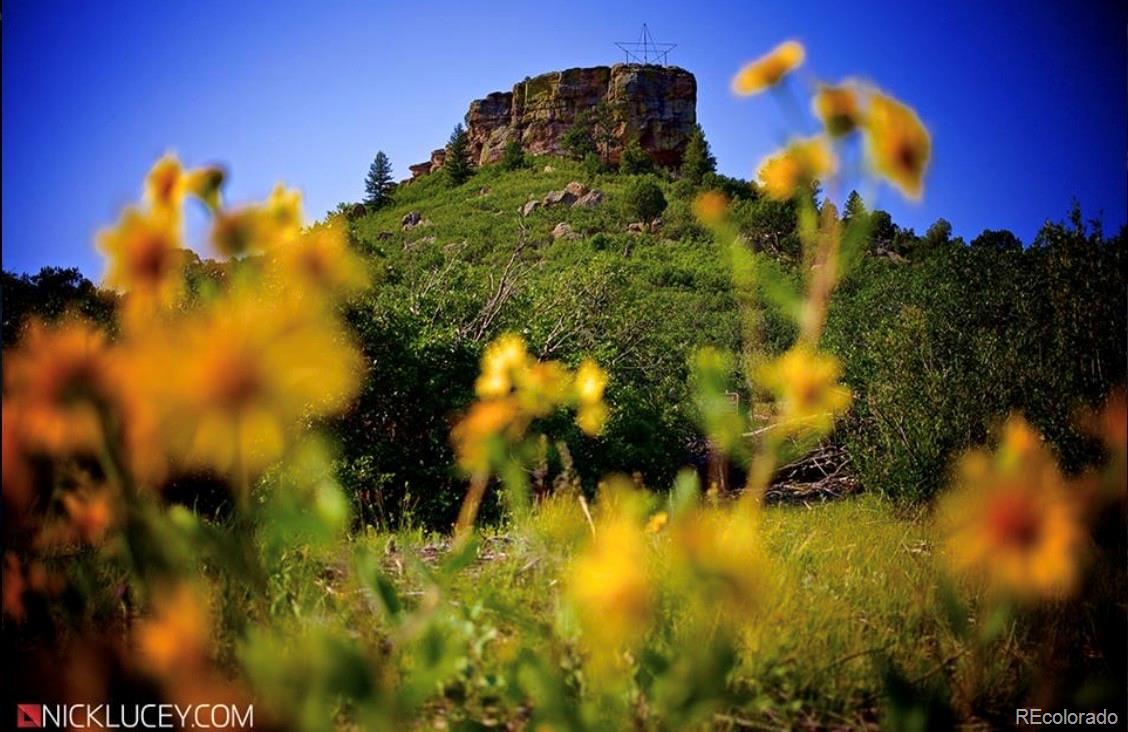 MLS Image #21 for 474  black feather loop 401,castle rock, Colorado