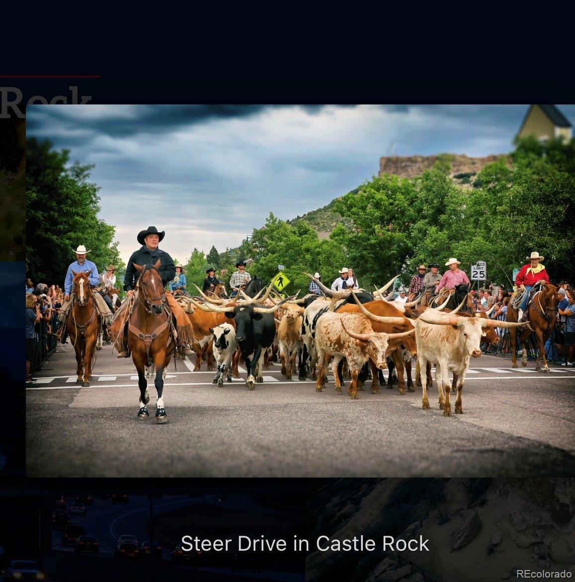 MLS Image #23 for 474  black feather loop 401,castle rock, Colorado
