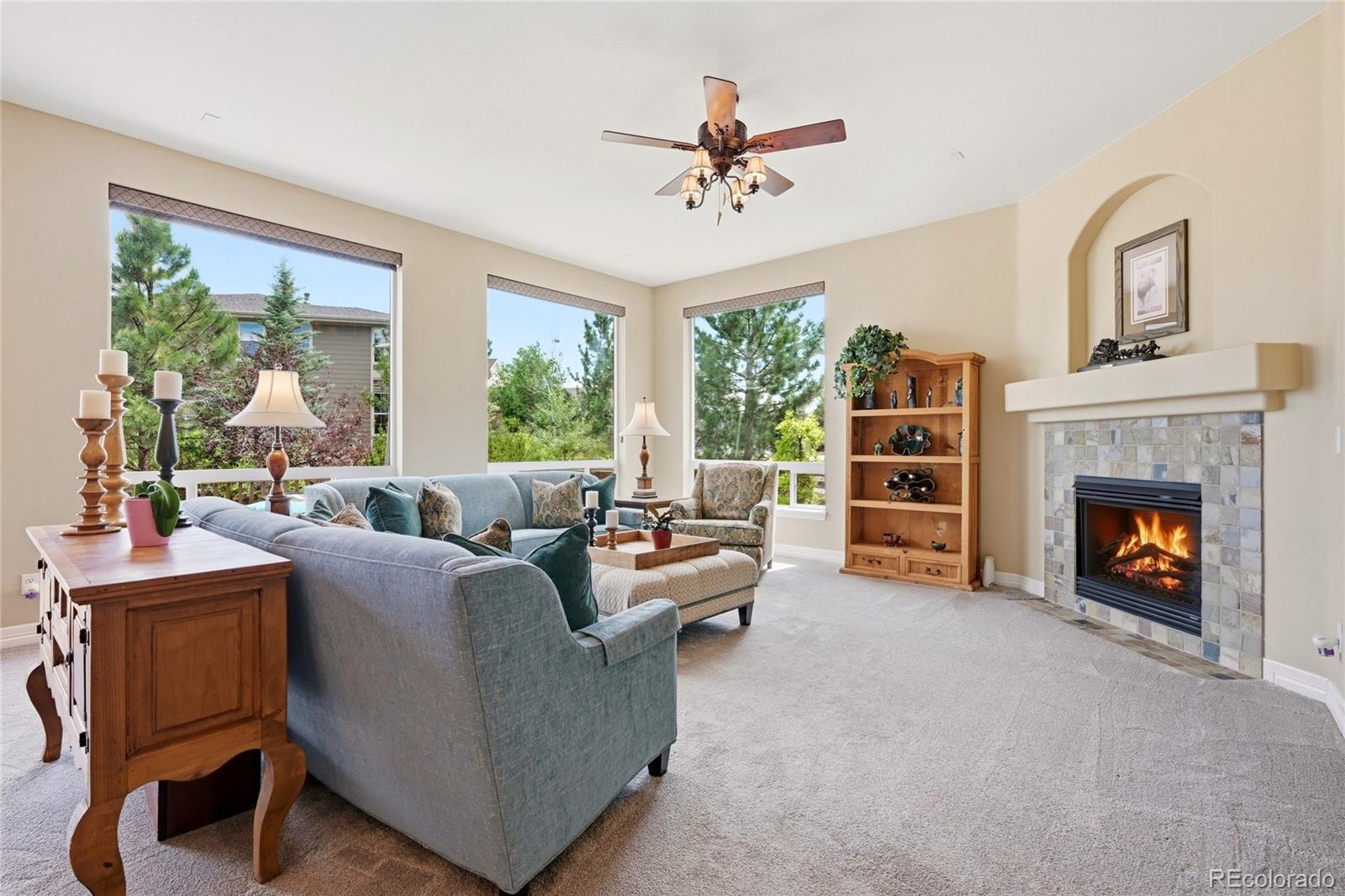 MLS Image #8 for 4836  sedona circle,parker, Colorado