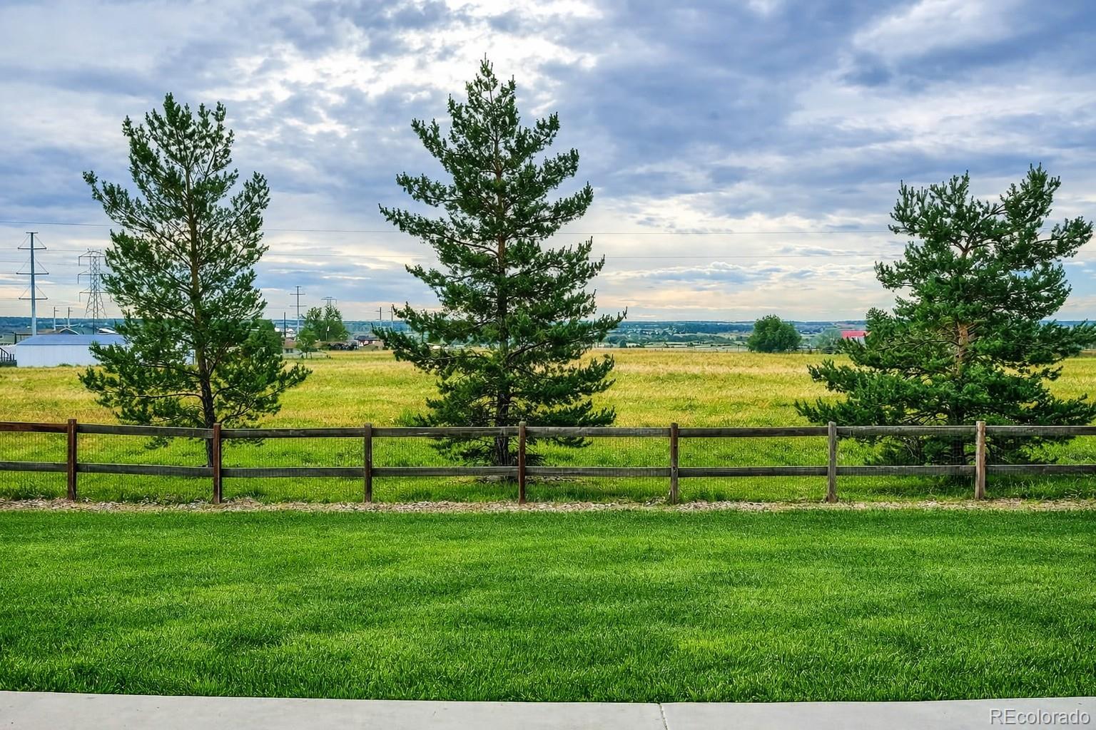 MLS Image #13 for 11554  yellow daisy drive,parker, Colorado