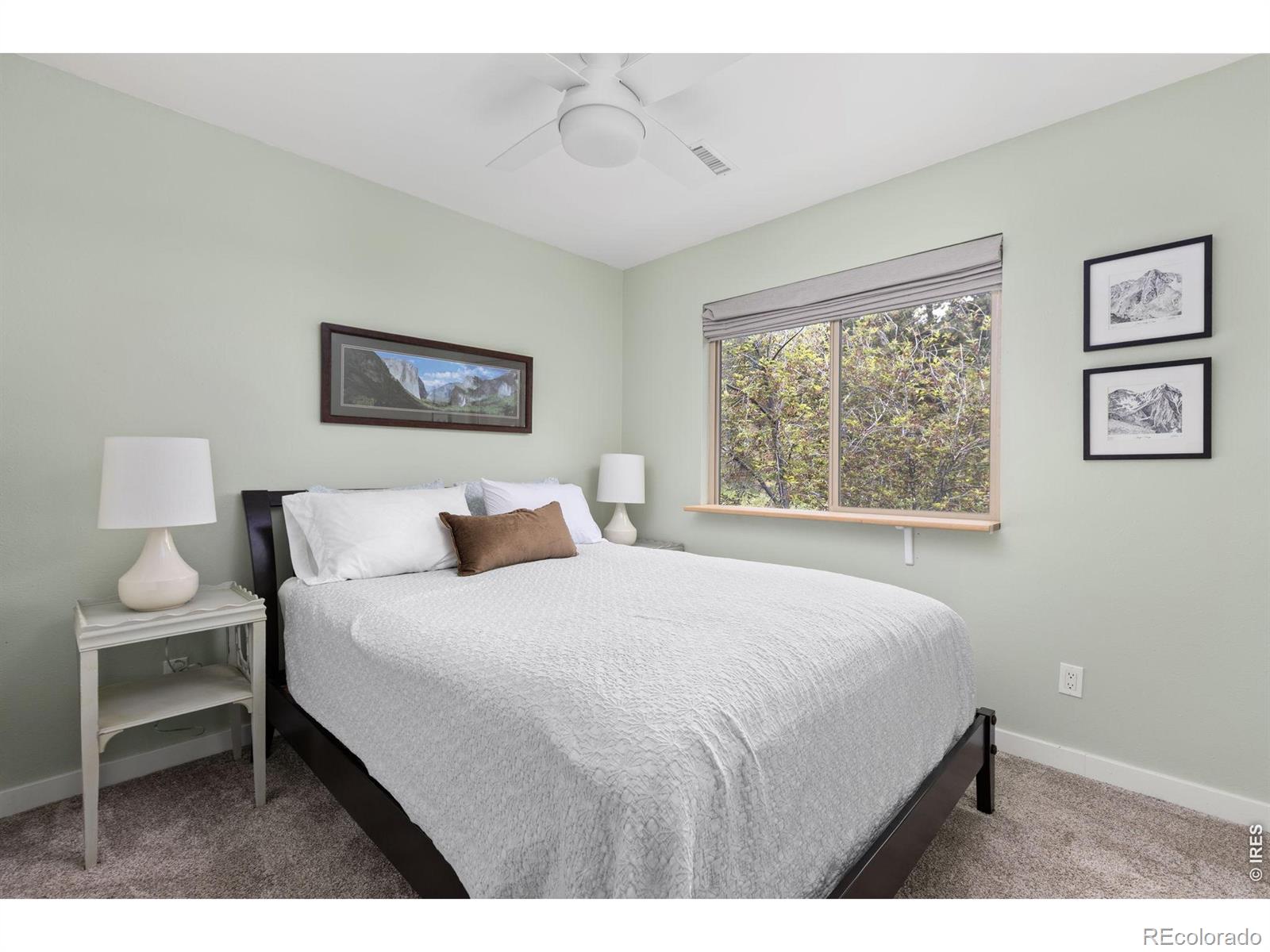MLS Image #28 for 503  fall river lane,estes park, Colorado