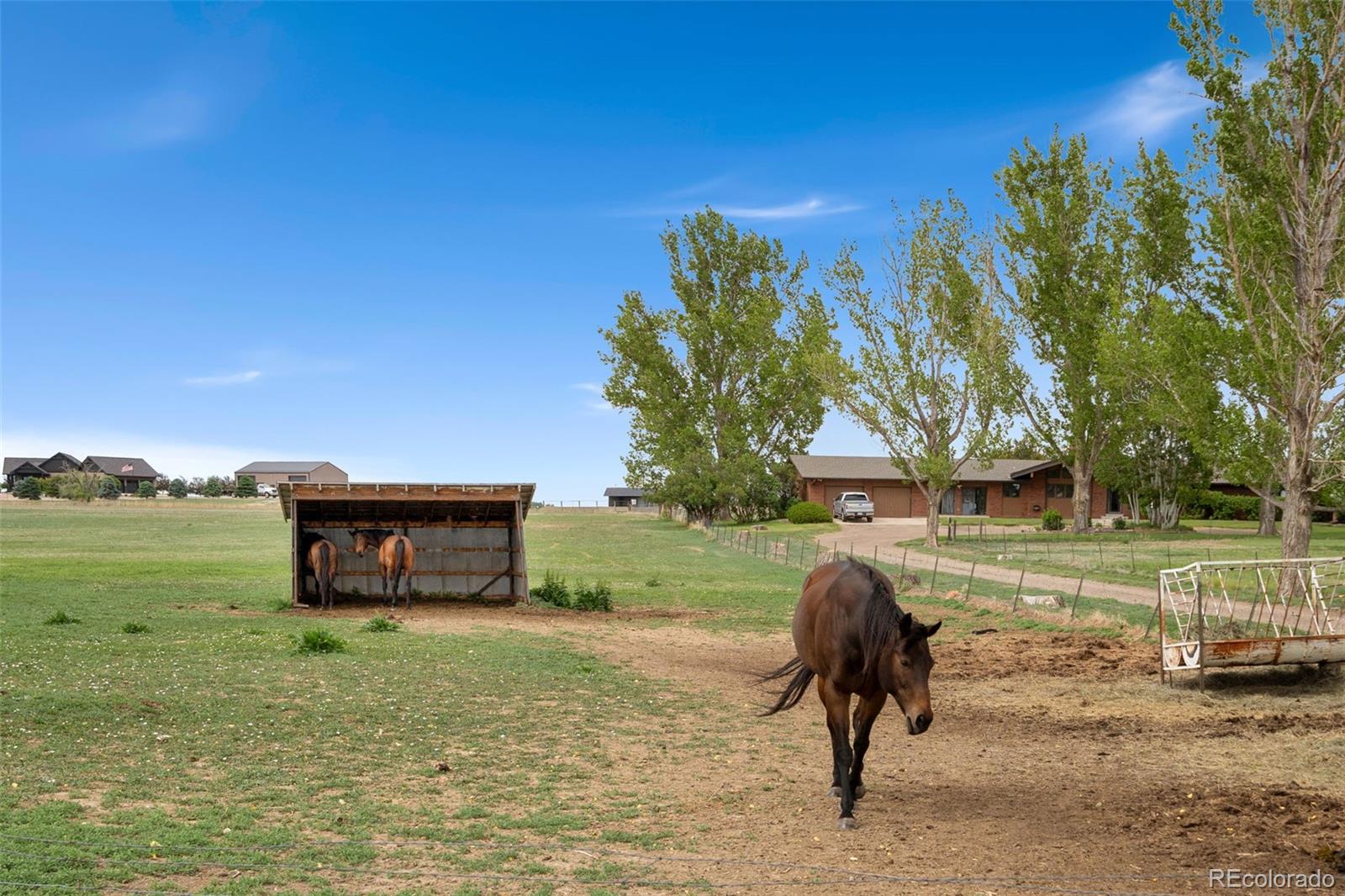 MLS Image #15 for 10545  highway 14 ,ault, Colorado