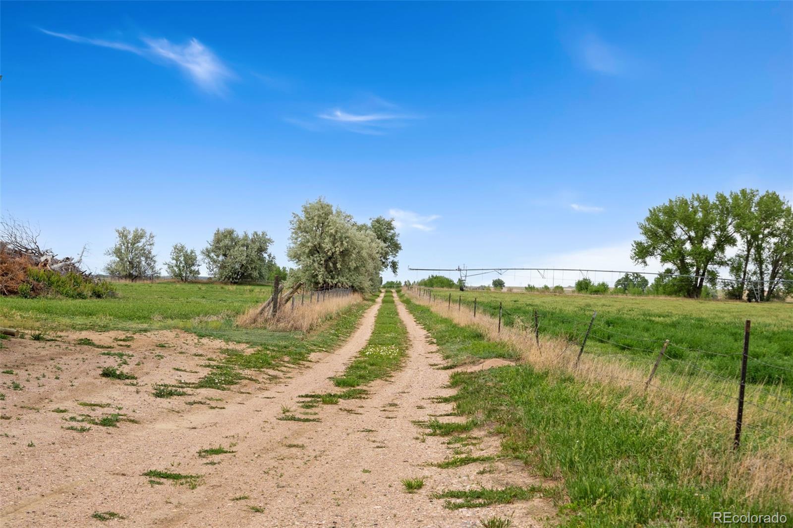 MLS Image #20 for 10545  highway 14 ,ault, Colorado