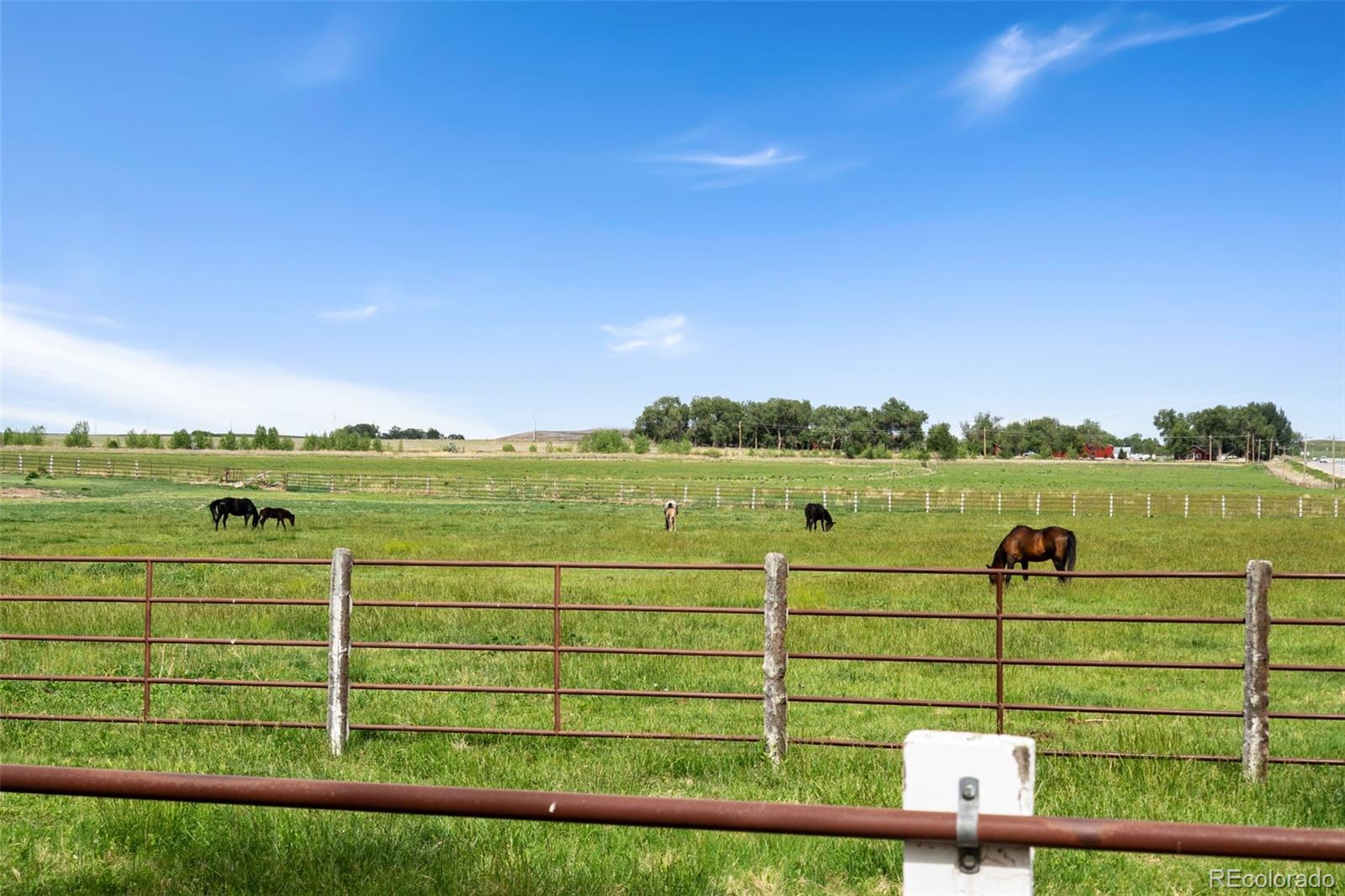 MLS Image #22 for 10545  highway 14 ,ault, Colorado