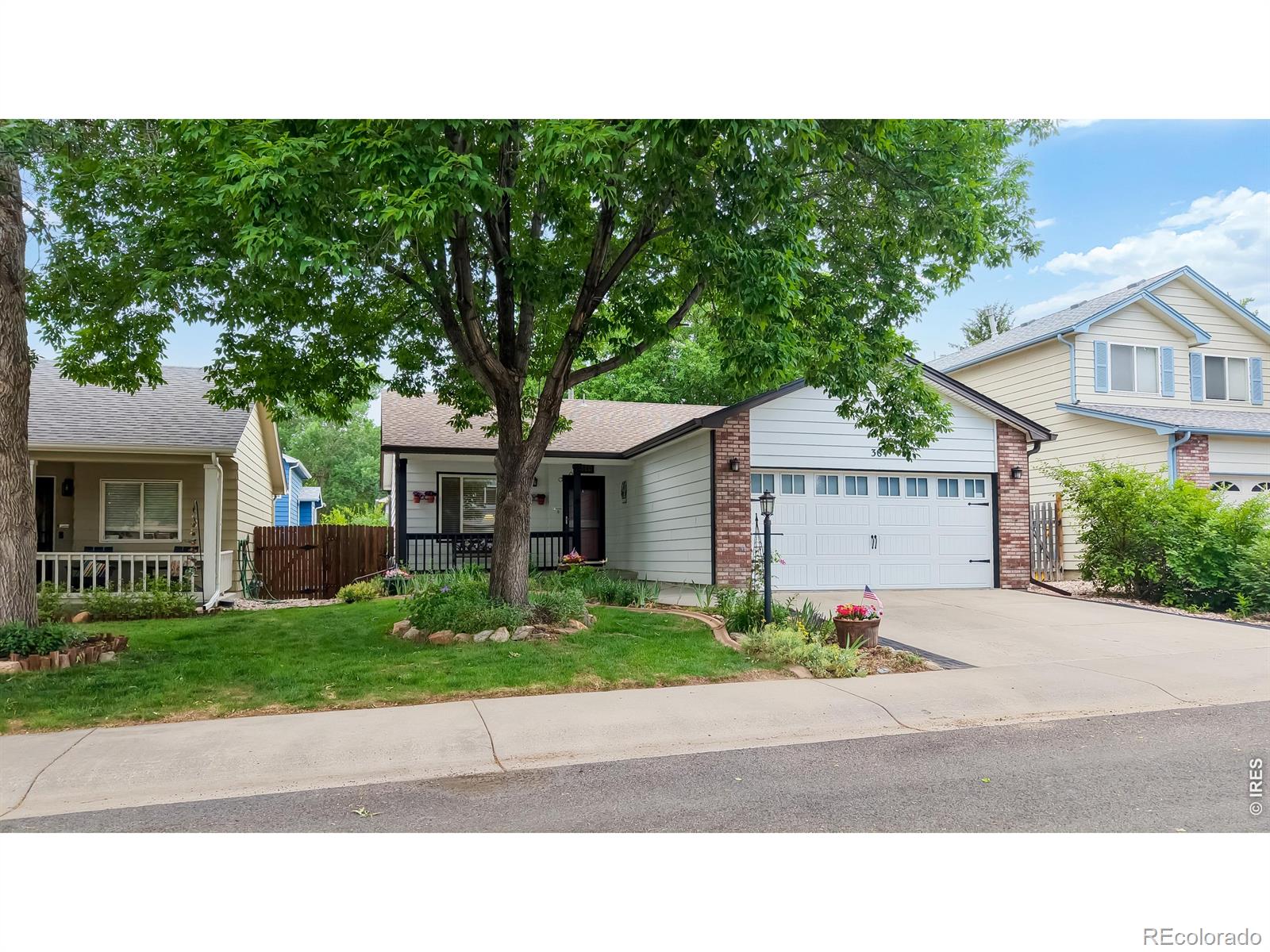 MLS Image #2 for 384  pin oak drive,loveland, Colorado
