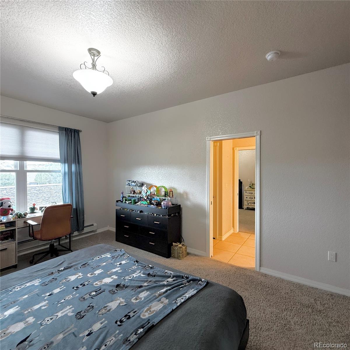 MLS Image #26 for 7791  pine bluff dr. w ,pueblo, Colorado