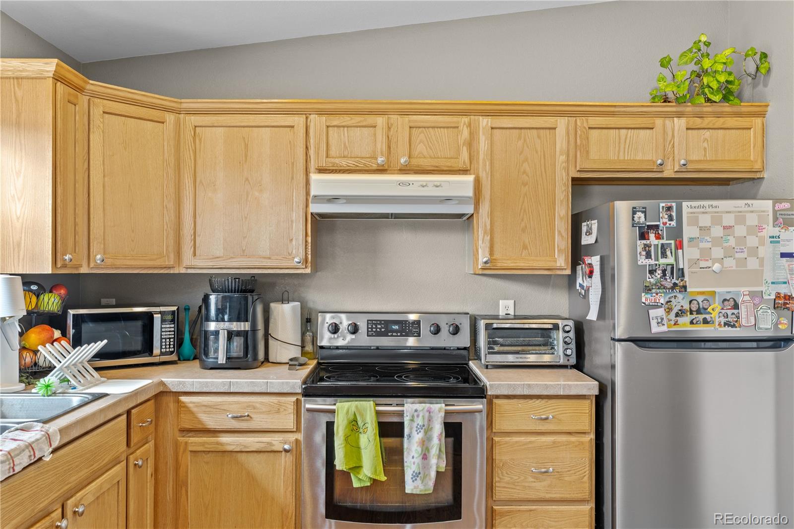 MLS Image #15 for 738  trout creek drive,fairplay, Colorado