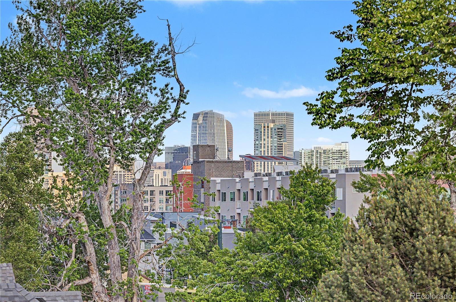 MLS Image #39 for 3121 w 26th avenue,denver, Colorado