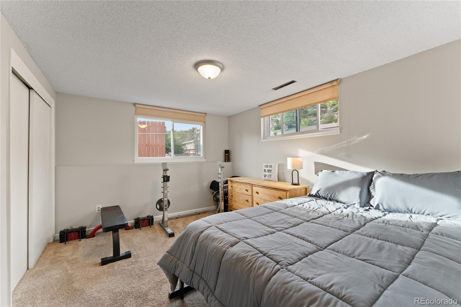 MLS Image #38 for 4147  anitra circle,colorado springs, Colorado