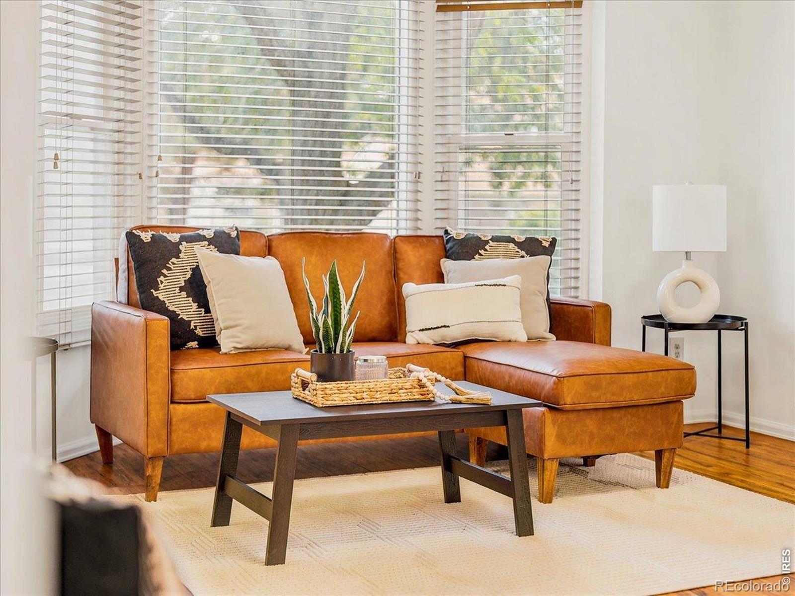 MLS Image #4 for 2115  ranch drive,denver, Colorado