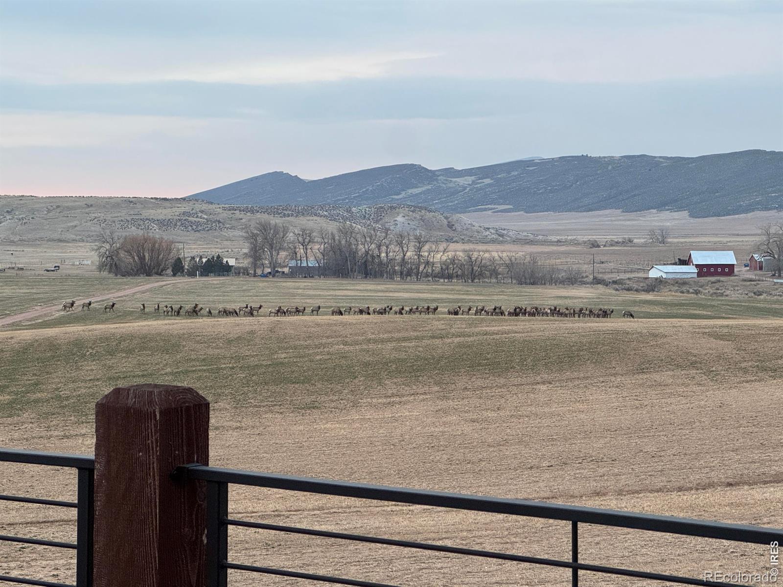 MLS Image #22 for 3310 w county road 80 ,wellington, Colorado