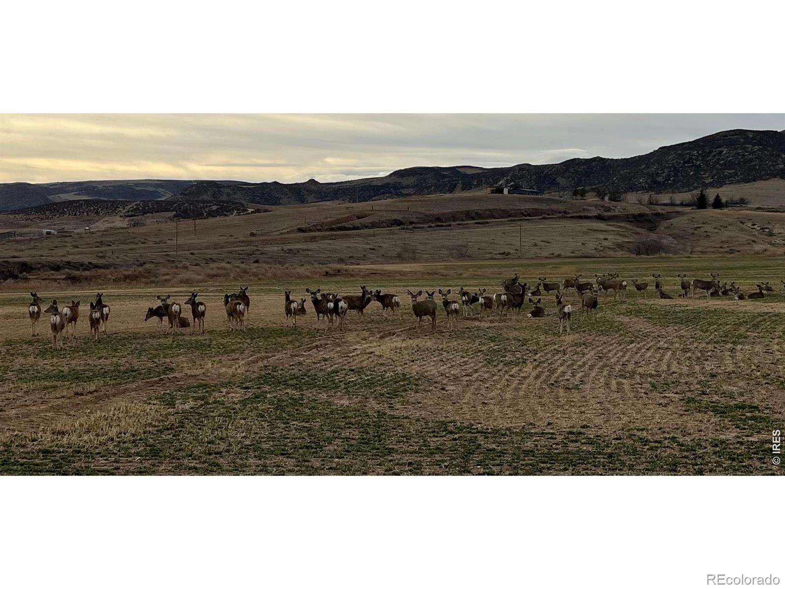 MLS Image #32 for 3310 w county road 80 ,wellington, Colorado