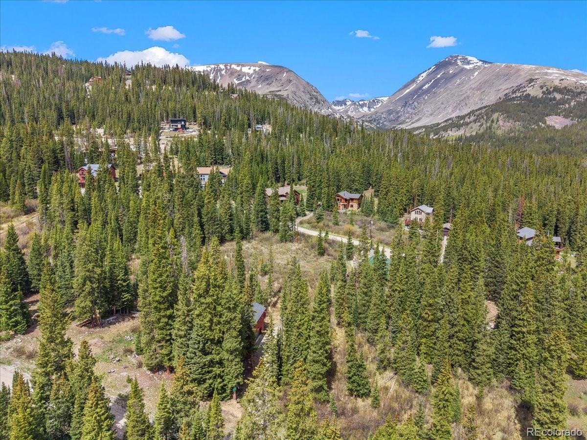 MLS Image #1 for 107  scr 675 ,breckenridge, Colorado