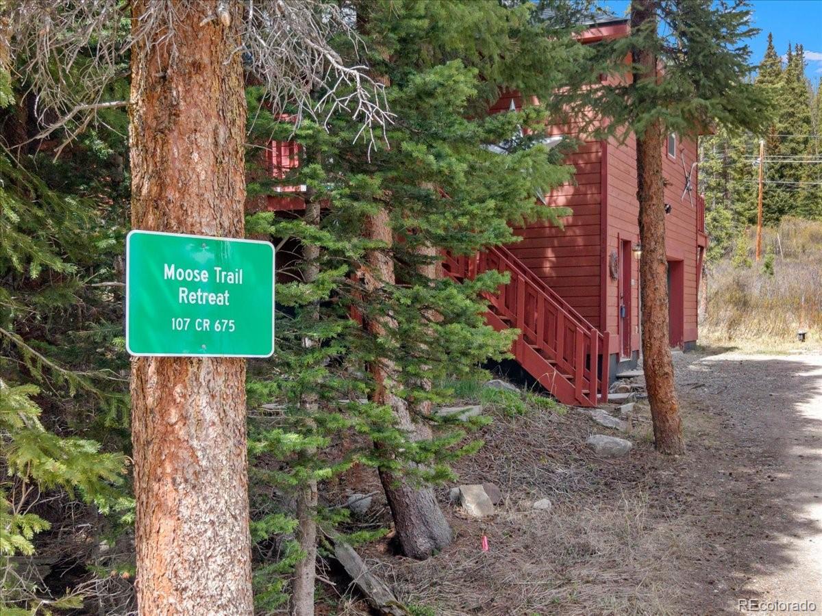 MLS Image #2 for 107  scr 675 ,breckenridge, Colorado