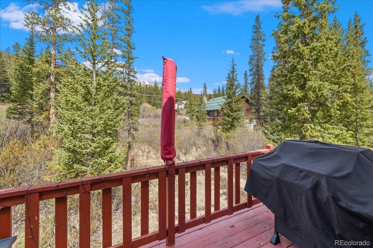 MLS Image #21 for 107  scr 675 ,breckenridge, Colorado