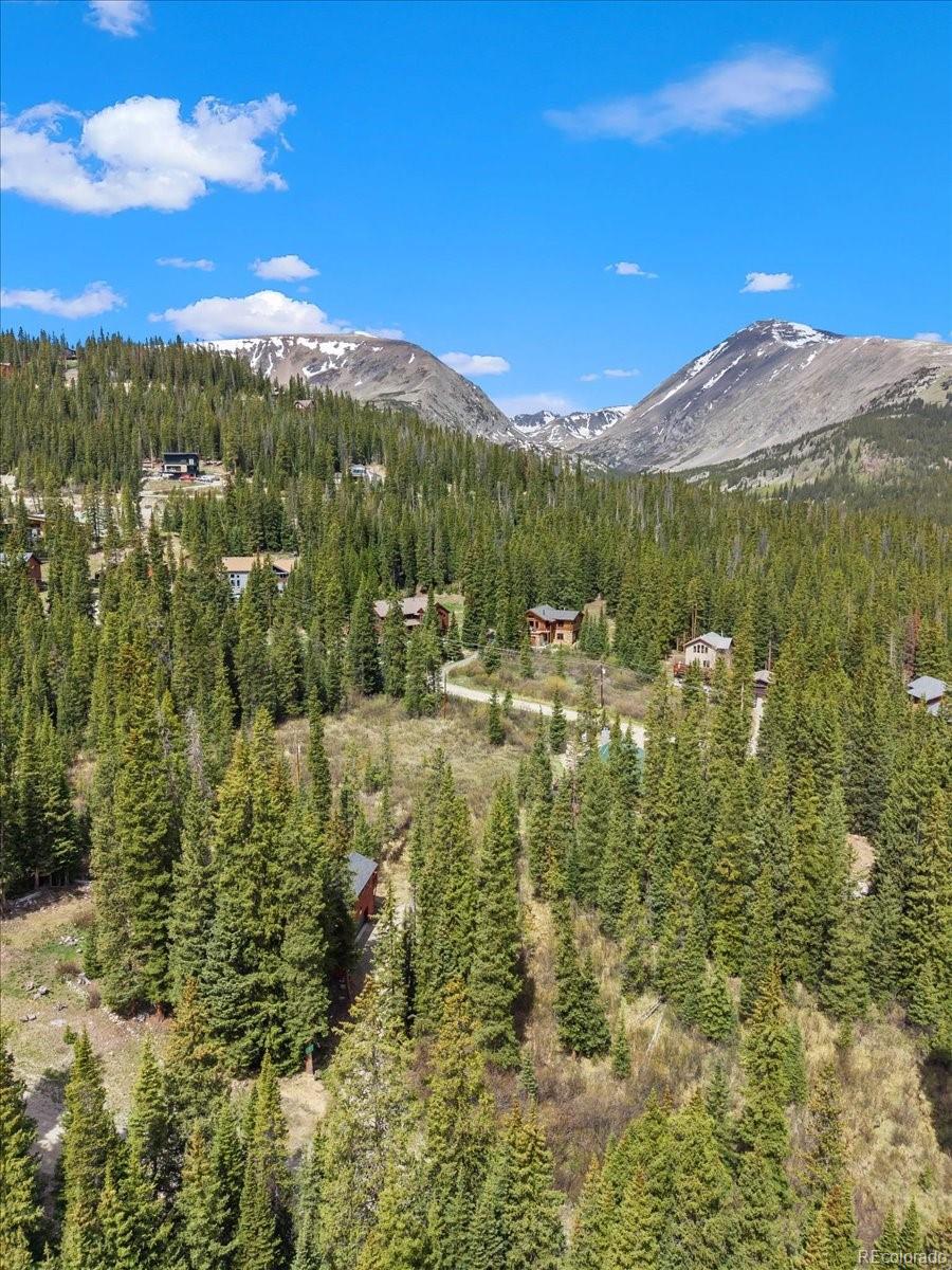 MLS Image #22 for 107  scr 675 ,breckenridge, Colorado