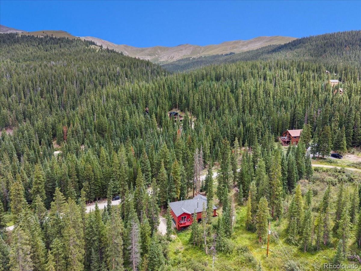 MLS Image #25 for 107  scr 675 ,breckenridge, Colorado
