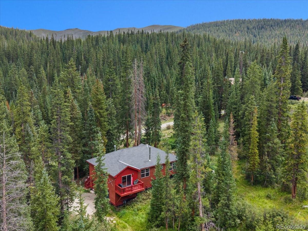 MLS Image #26 for 107  scr 675 ,breckenridge, Colorado