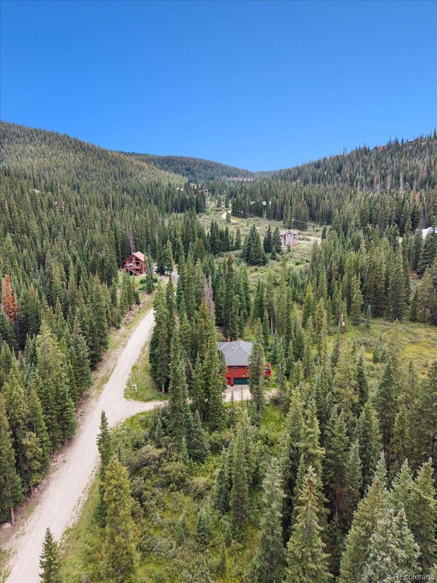 MLS Image #27 for 107  scr 675 ,breckenridge, Colorado