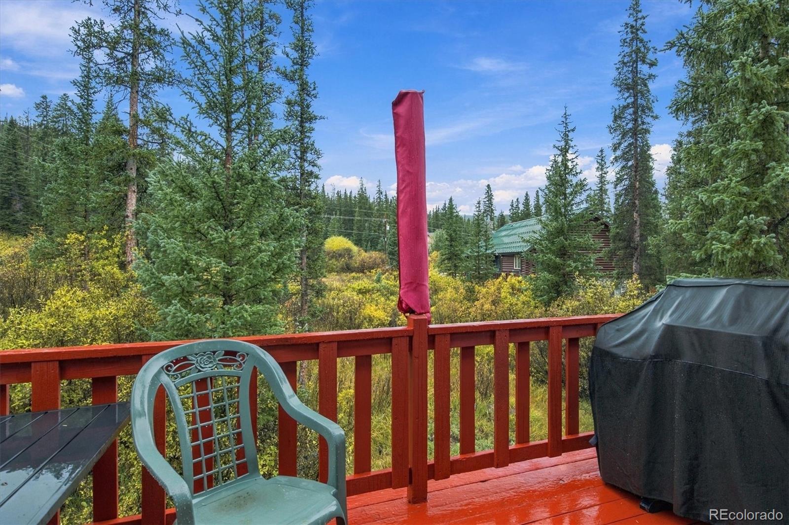 MLS Image #30 for 107  scr 675 ,breckenridge, Colorado