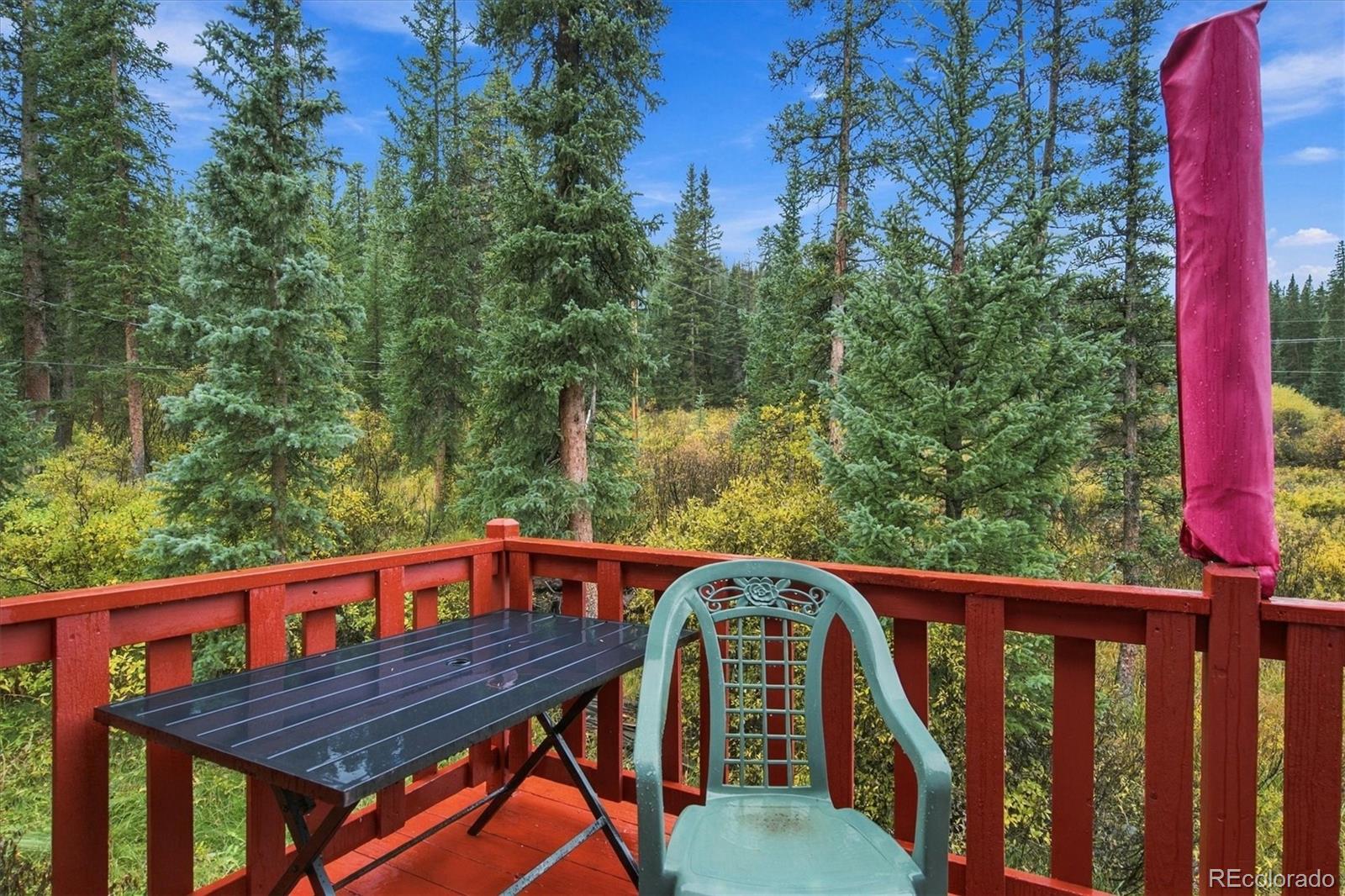 MLS Image #31 for 107  scr 675 ,breckenridge, Colorado
