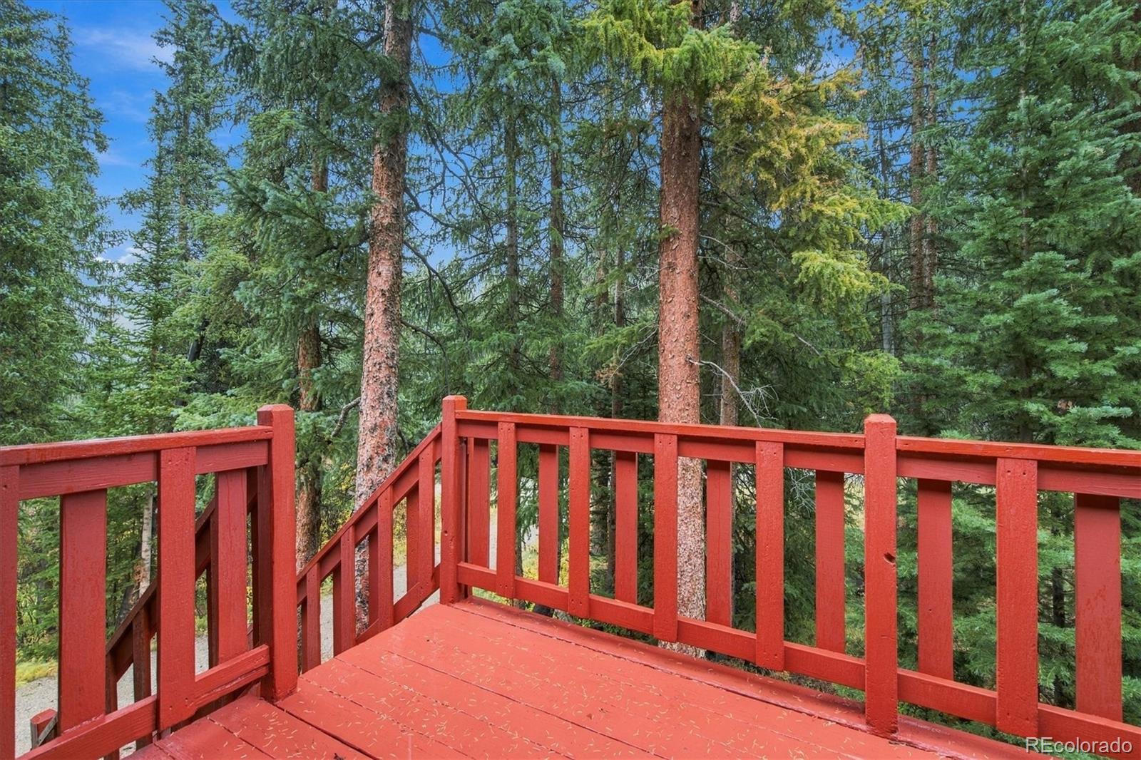 MLS Image #33 for 107  scr 675 ,breckenridge, Colorado