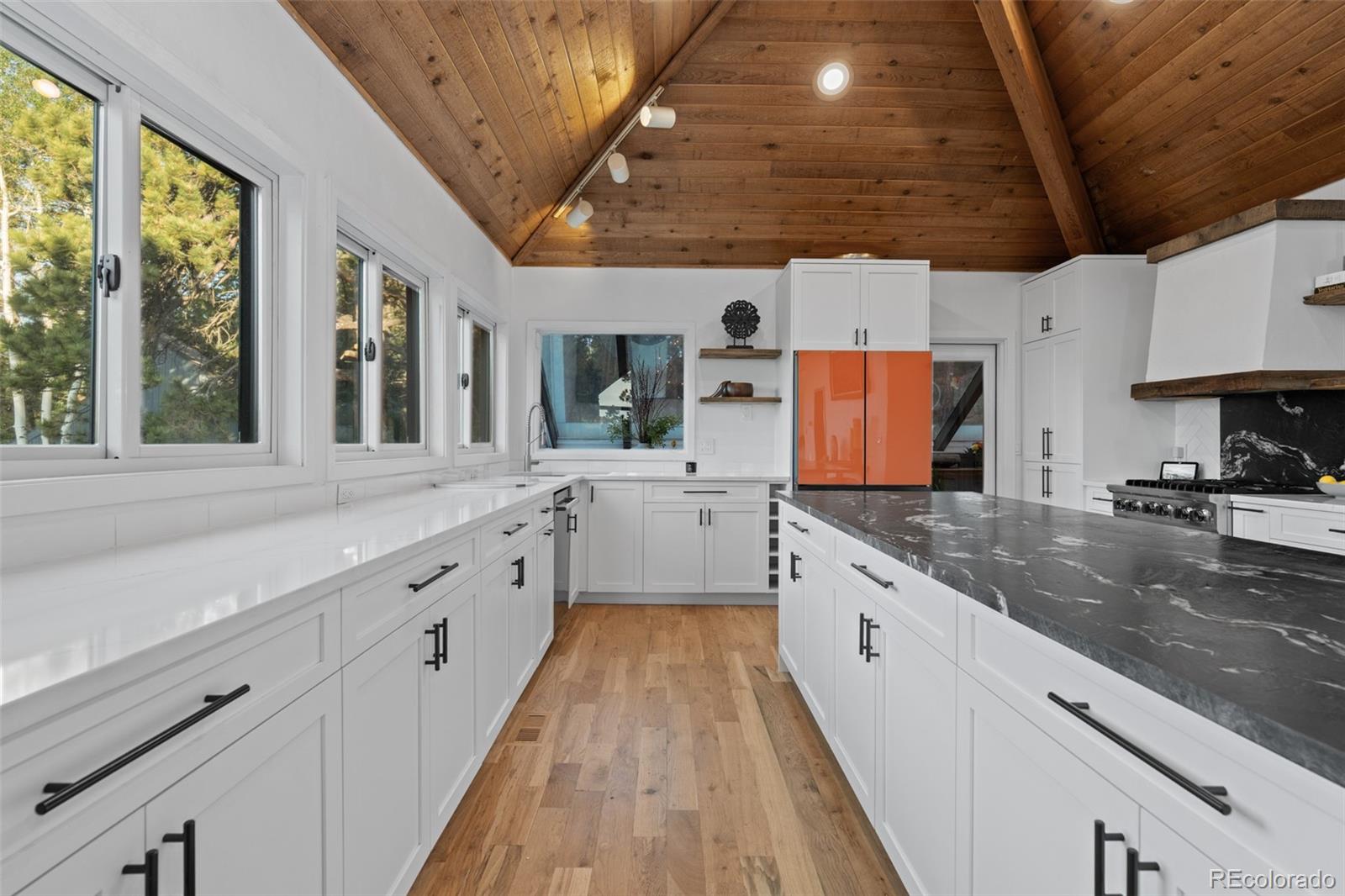 MLS Image #12 for 5396  bear mountain ,evergreen, Colorado