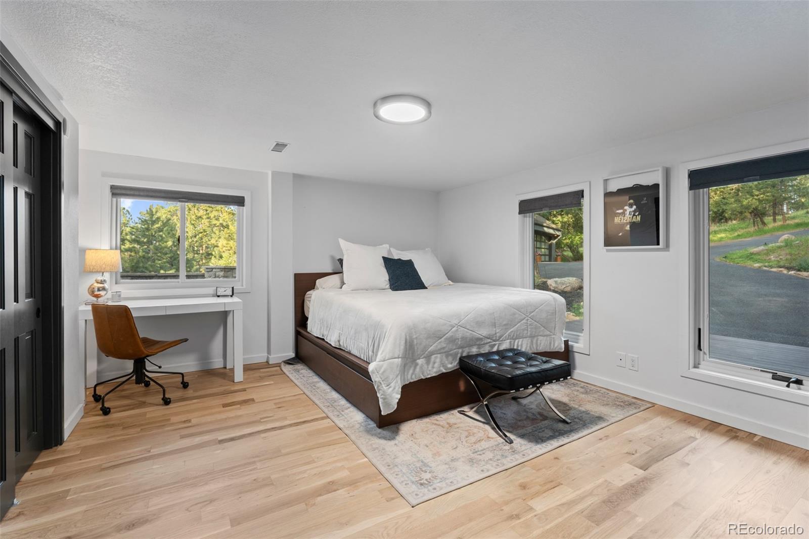 MLS Image #26 for 5396  bear mountain ,evergreen, Colorado