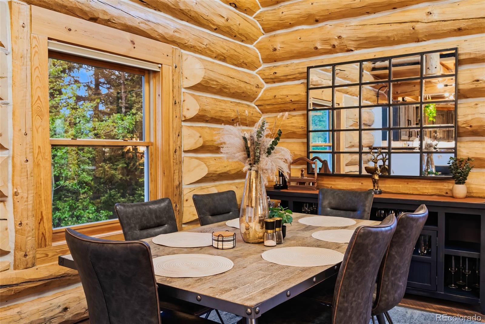 MLS Image #12 for 847  palomino road,jefferson, Colorado