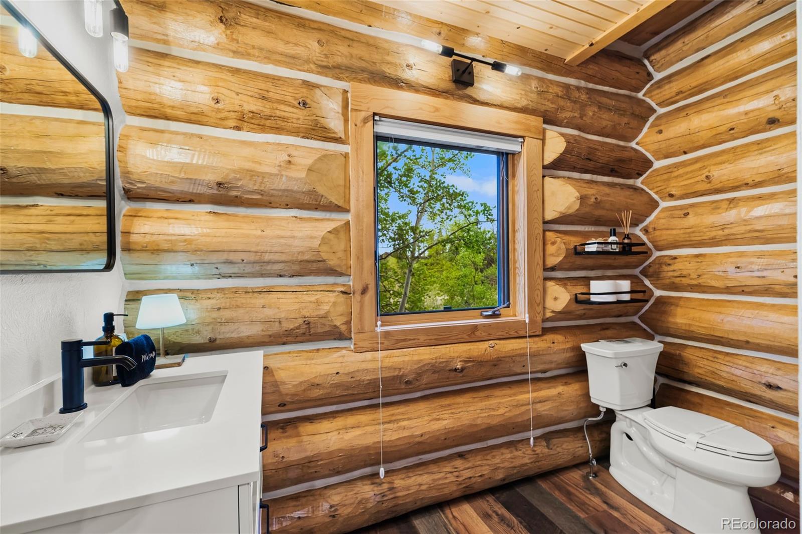 MLS Image #23 for 847  palomino road,jefferson, Colorado