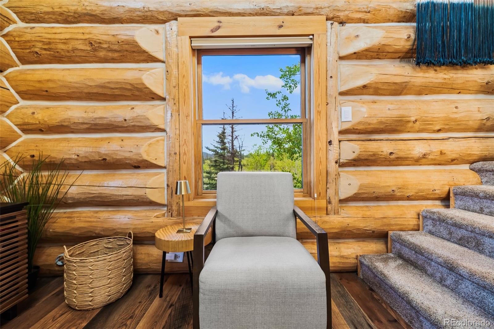 MLS Image #25 for 847  palomino road,jefferson, Colorado
