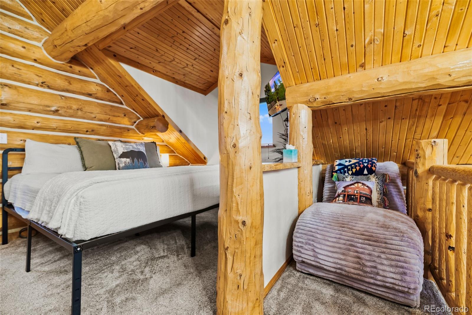 MLS Image #26 for 847  palomino road,jefferson, Colorado