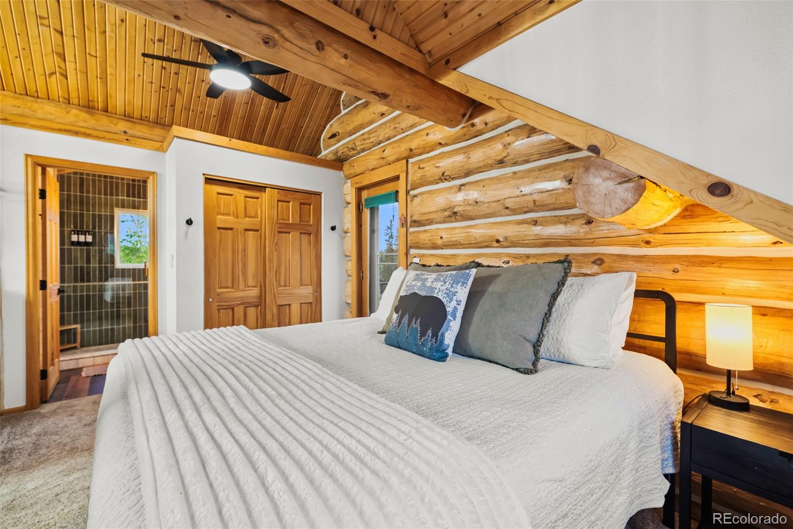 MLS Image #29 for 847  palomino road,jefferson, Colorado